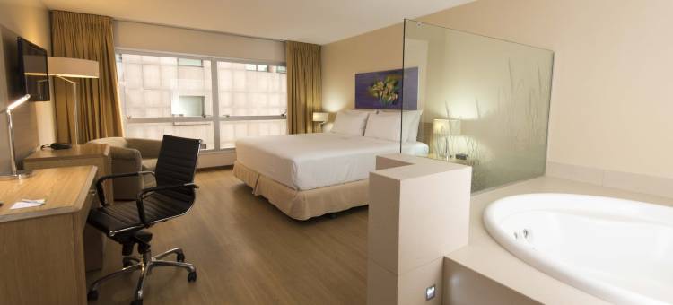Holiday Inn 蒙得维的亚(Holiday Inn Montevideo)图片