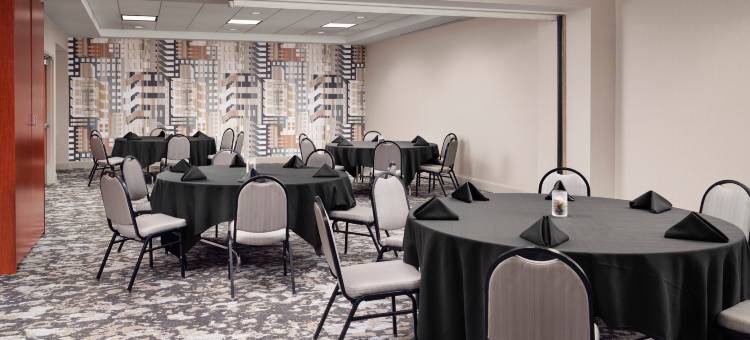 底特律市区希尔顿花园旅馆(Hilton Garden Inn Detroit Downtown)图片