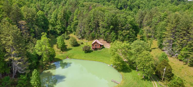 Tranquil Pond and Cozy Deck - Charming Rustic Retreat图片