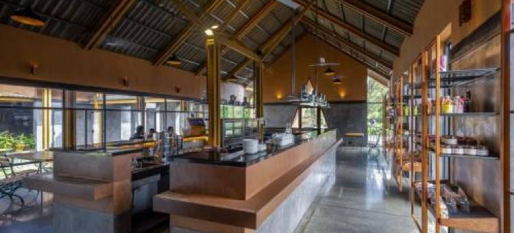 Misty Mountain Experience图片