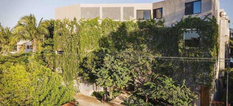 阿莱阿图兰酒店(Alea Tulum)图片