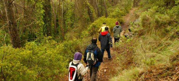 阿塔拉亚公寓(Atalaya)图片