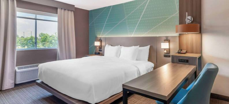 舒适酒店及套房-萨拉托加斯普林斯(Comfort Inn & Suites Saratoga Springs)图片