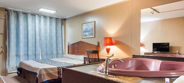 阿姆斯特丹骑士酒店(Knights Inn Amsterdam)图片