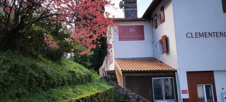 克莱门特尼亚(Clementenia)图片