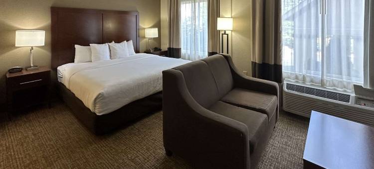 Charlotte Suites by IHG图片