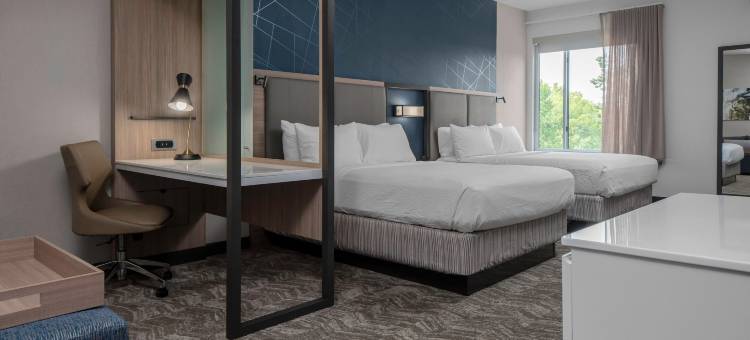 SpringHill Suites Charlotte Huntersville图片