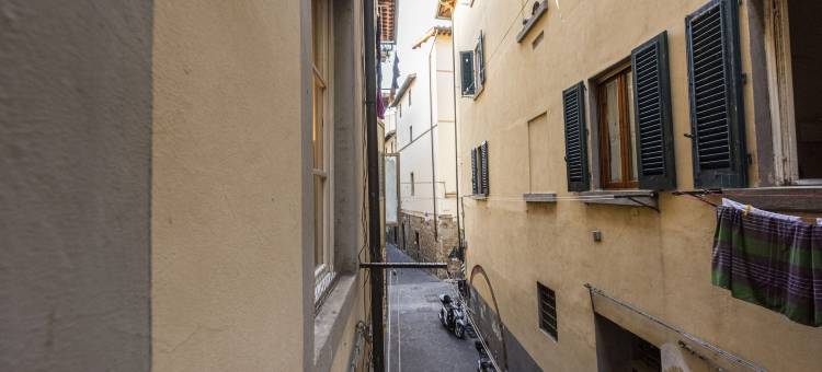 Mmega 皮蒂开间(Pitti Studio)图片