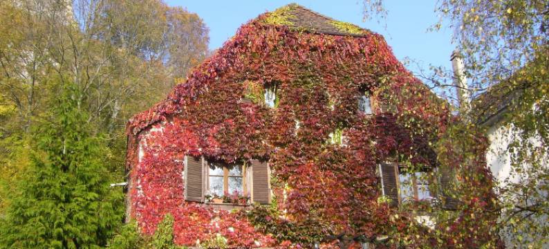 时光5宅邸-费雷特迷人民宿(Maison des 5 Temps - Chambres Dhôtes de Charme à Ferrette)图片