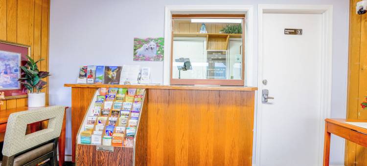 OYO 自然桥 I-81 休闲旅馆(Relax Inn by OYO Natural Bridge I-81)图片