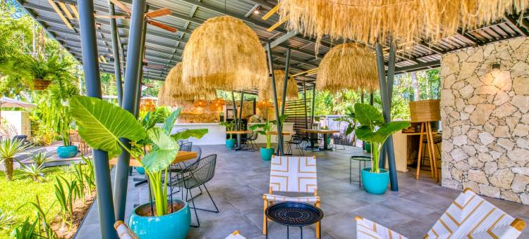 埃克索蒂科海滩酒店(Exôtico Beach & Rooms)图片