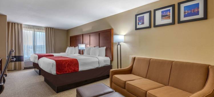 佩勒姆胡佛I-65号舒适套房酒店(Comfort Suites Pelham Hoover I-65)图片