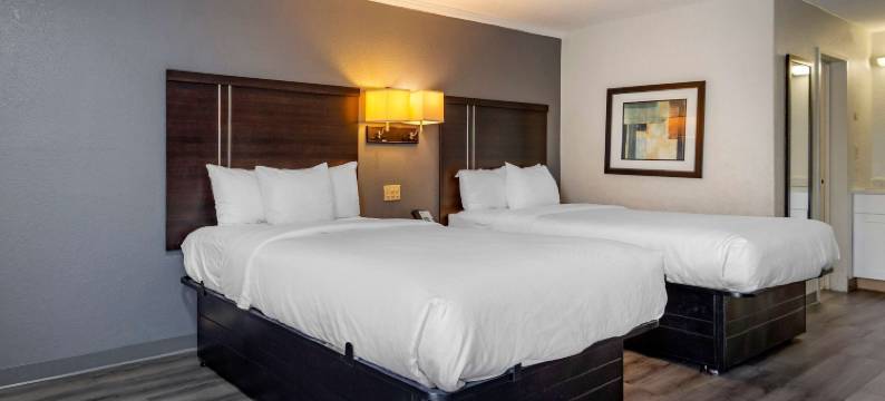 东北 I-77 郊区开间(Suburban Studios Rock Hill Northeast I-77)图片