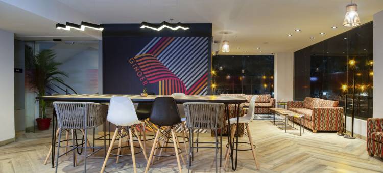 金杰诺伊达市中心酒店(Ginger Noida City Center)图片