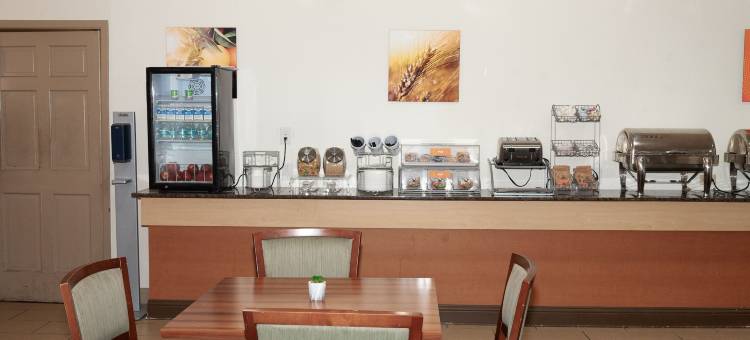 康福特套房巴吞鲁日南部I-10(Comfort Suites Baton Rouge South I-10)图片