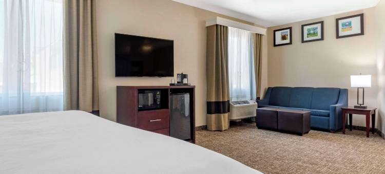 普莱诺-北达拉斯舒适全套房酒店(Comfort Suites Plano - Dallas North)图片