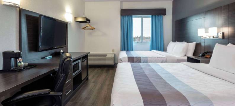 舒适酒店(Comfort Hotel)图片