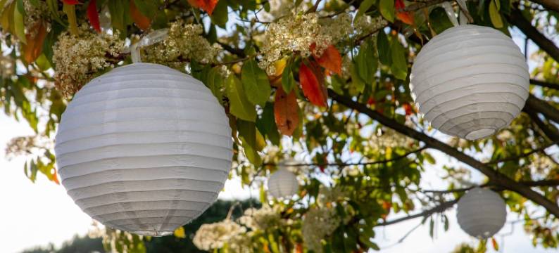 新月面包店(Croissant de Lune)图片