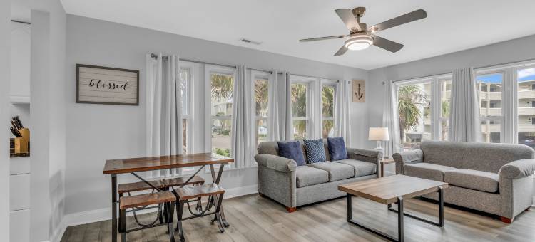 岛屿棕榈(Island palms)图片