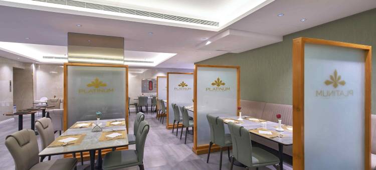 铂金酒店(Platinum Hotel)图片