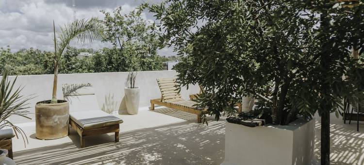 科斯酒店精品图兰(Koos Tulum Hotel)图片