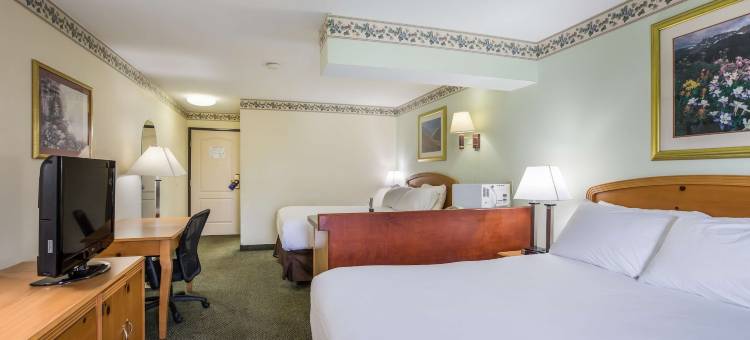 三河城美洲最佳价值套房酒店(Americas Best Value Inn & Suites- Three Rivers)图片