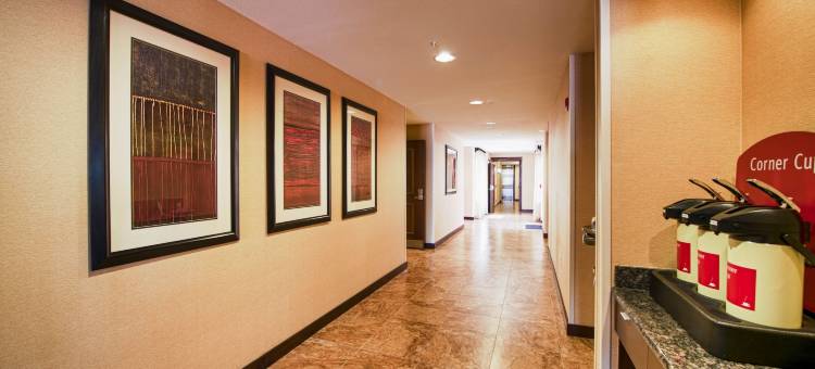 埃尔帕索机场万豪TownePlace套房酒店(TownePlace Suites El Paso Airport)图片