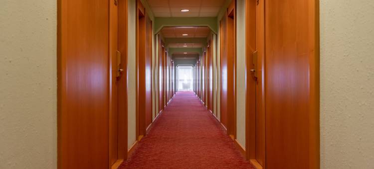 布尔诺沃罗奥雷阿酒店(Orea Hotel Voro Brno)图片