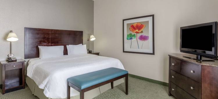 南里士满欢朋酒店(Hampton Inn Richmond-South)图片