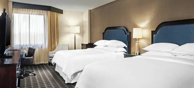 夏洛特机场喜来登酒店(Sheraton Charlotte Airport Hotel)图片