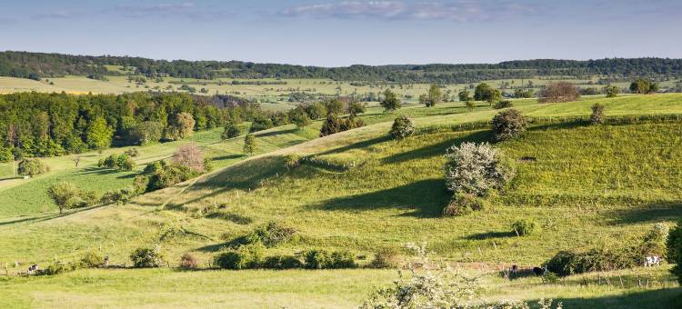 布里斯高生态华丽露营度假村(Glamping Resort Biosphäre Bliesgau)图片
