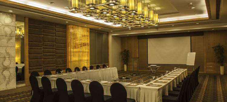 浦那卡拉迪丽笙酒店(Radisson Blu Hotel Pune Kharadi)图片