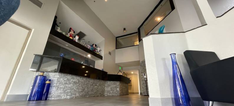 麦格特韦斯特德斯蒂尼棕榈酒店(Destiny Palms Hotel Maingate West)图片