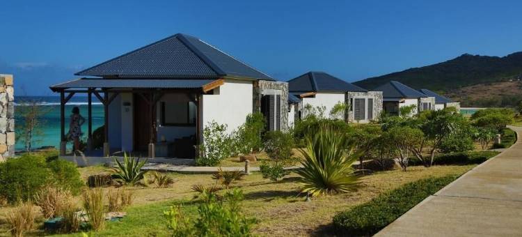 康斯坦斯-Tekoma(Constance Tekoma)图片