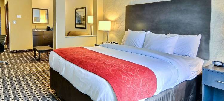 尤宁敦舒适酒店(Comfort Suites Uniontown)图片