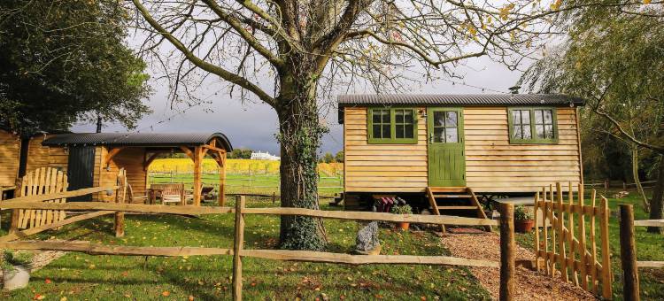 林普斯通庄园酒店(Lympstone Manor Hotel Restaurant & Vineyard - Relais & Chateaux)图片