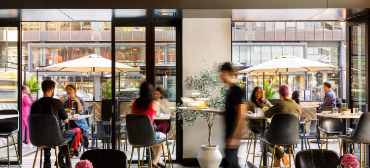 阿尔洛芝加哥(Arlo Chicago)图片