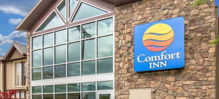 市中心舒适酒店(Comfort Inn Downtown)图片