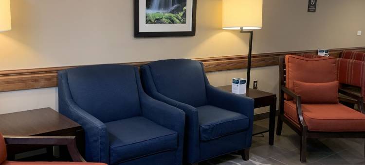 富兰克林 96 号高速公路舒适酒店(Comfort Inn Franklin Highway 96)图片