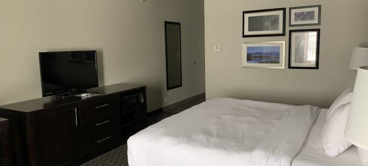 比灵斯拉昆塔温德姆套房酒店(La Quinta Inn & Suites by Wyndham Billings)图片