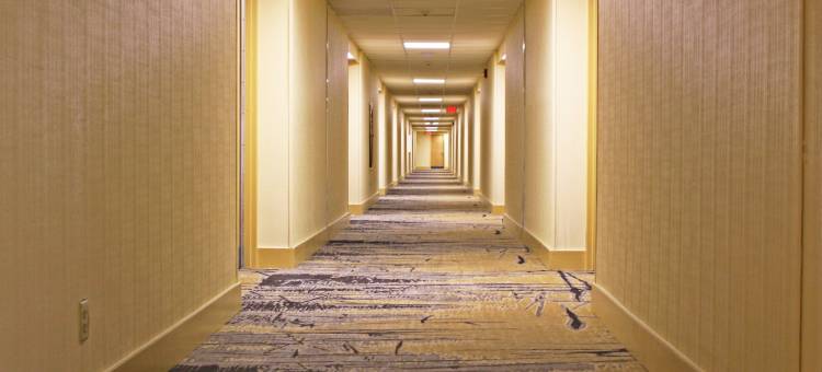 谢菲尔德马斯尔肖尔斯凯隆酒店(Clarion Inn Sheffield Muscle Shoals)图片