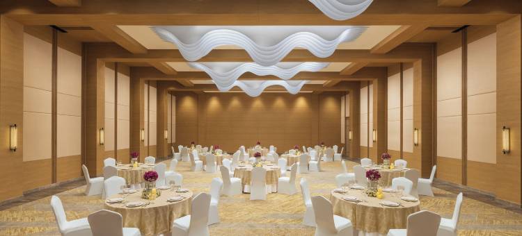 维加亚瓦达凯悦嘉轩酒店(Hyatt Place Vijayawada)图片