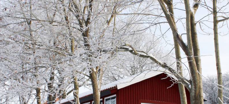 农场旅馆(Farmlodge)图片