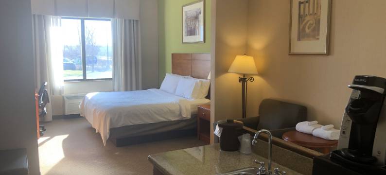兰辛-迪莫代尔洲际智选假日套房酒店(Holiday Inn Express & Suites LANSING-DIMONDALE by IHG)图片