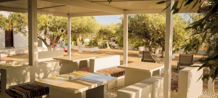 新极光-入住酒店(New Aurora Apts Studios)图片