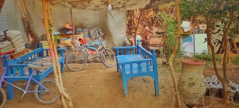 小法老(Little Pharaoh)图片