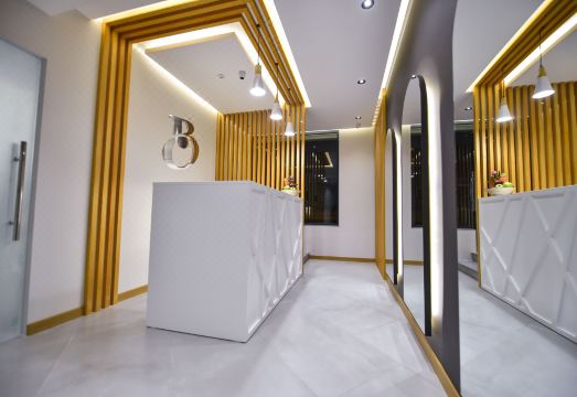 Baron Boutique Hotel Yerevan Hotel Overview