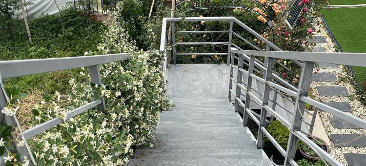 金山小阳公寓(中联路分店)图片