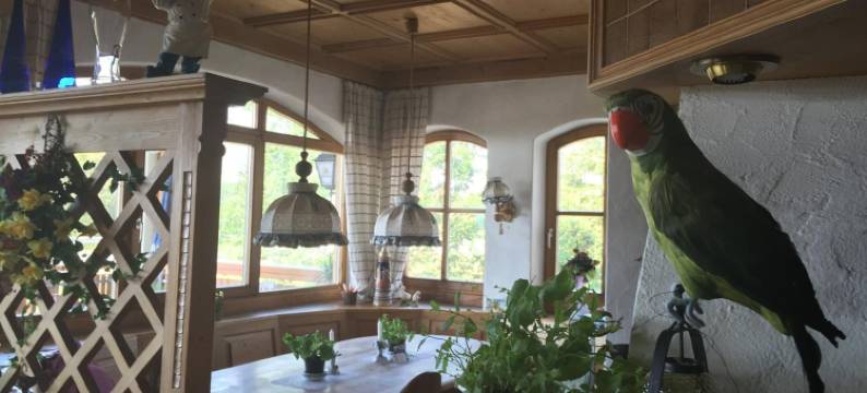 老玫瑰宾馆酒店(Alte Rose Gasthaus)图片