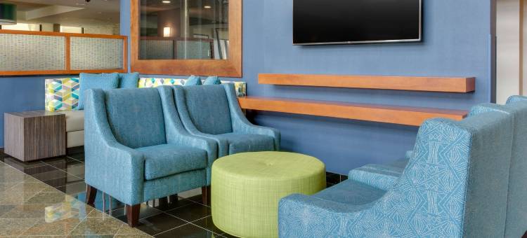 纳什维尔机场德鲁里套房酒店(Drury Inn & Suites Nashville Airport)图片
